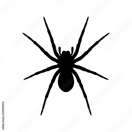 Εκτύπωση καμβά Black spider icon, spider silhouette, creepy crawly insect, arachnid symbol isol