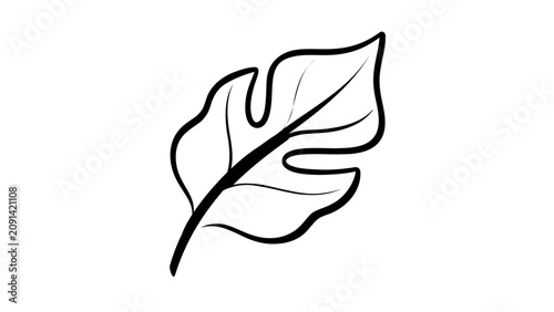 Clean flat vector line icon of a monstera leaf with split edges, suited for jungle decor, plant shops, and tropical branding.