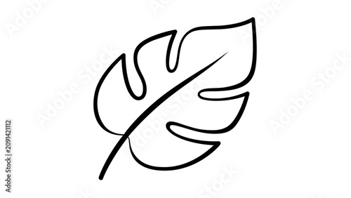Simple clean flat vector line icon of a tropical monstera leaf, perfect for plant care guides, sustainable packaging, and decor.
