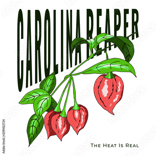 Carolina Reaper 3
