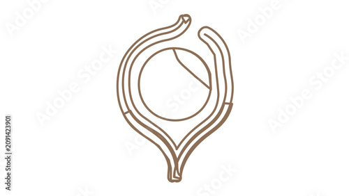 Clean flat vector line icon depicting a trail map for route finding, perfect for national park apps, adventure posts, and travel service menus.