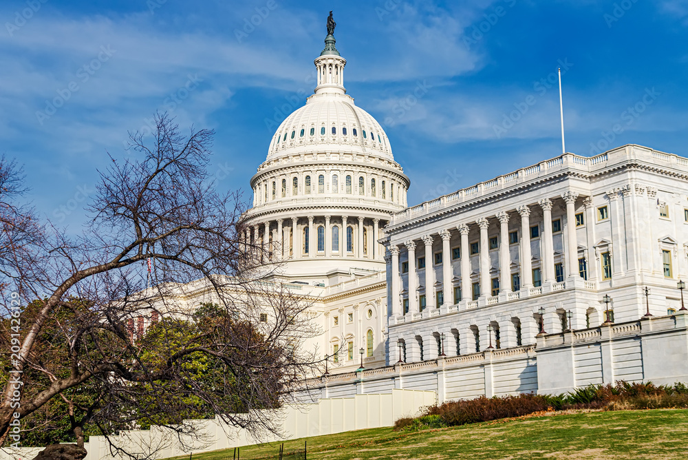 Obraz premium Capitol Building in Fall - Washington, D.C., USA