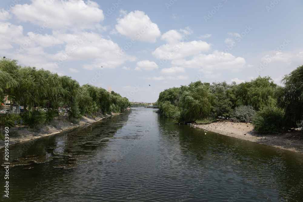 Fototapeta premium A breathtaking riverside setting, adorned with lush green trees and a clear blue sky.
