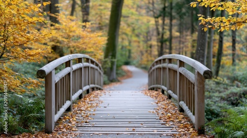Wooden footbridge over a path surrounded by vibrant autumn foliage in a serene forest setting with fallen leaves scattered on the ground
