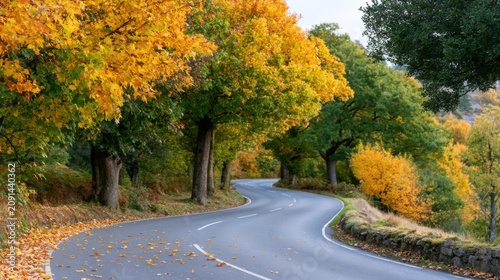 Curving road surrounded by vibrant autumn foliage with yellow and orange leaves, showcasing a scenic landscape in a rural area during fall season