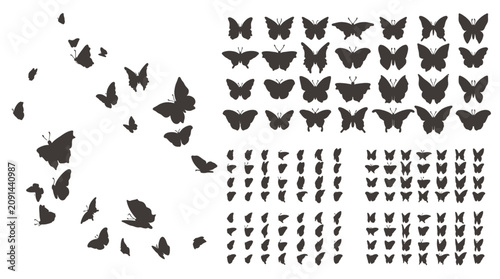 Butterflies are flying and dispersing in various directions outdoors in nature