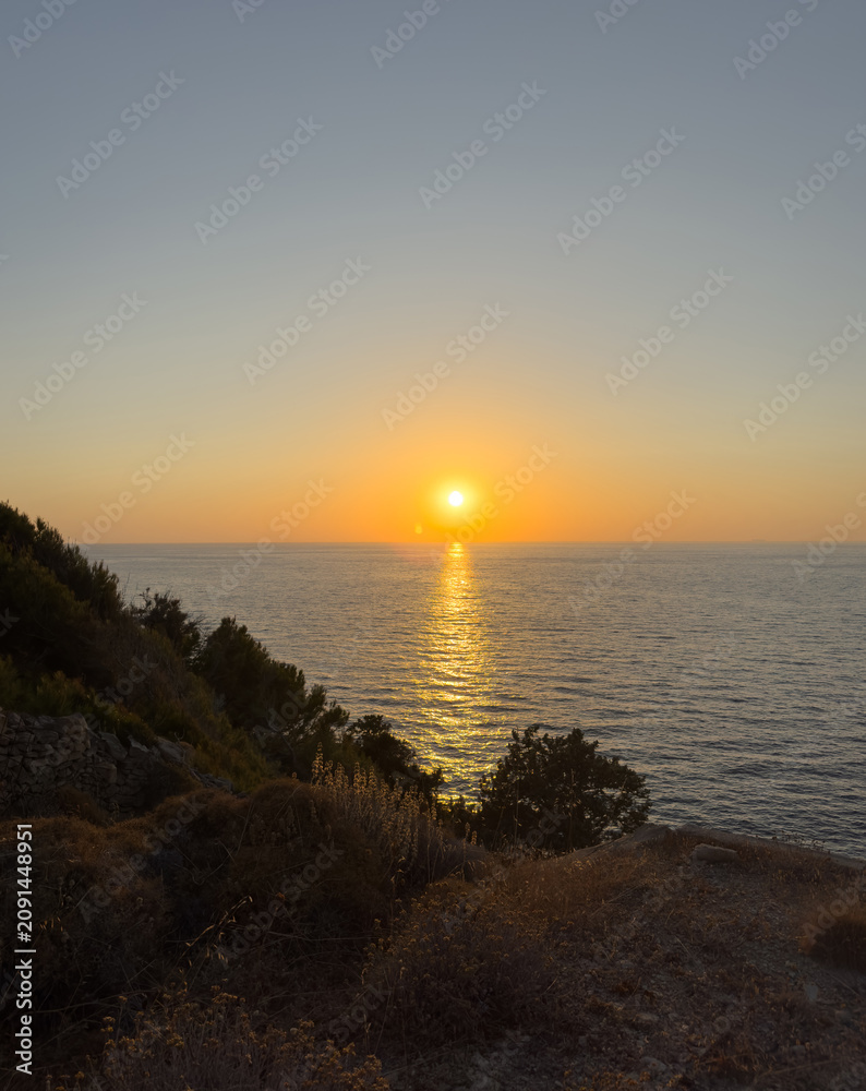 Obraz premium Tamarix Tree silhouette at golden sunset on Aegean Coast of Ikaria Island in Greece