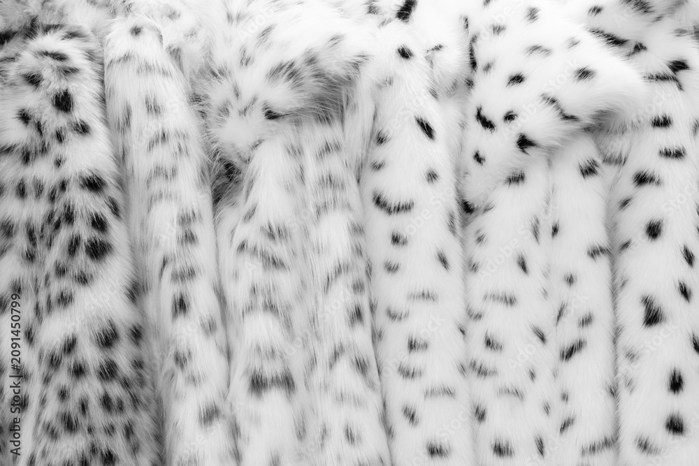 Fototapeta premium white synthetic fur coats with black spots. soft, fluffy texture covers the entire surface. Irregular dark markings are scattered throughout. for fur design projects.