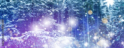 Panel kuchenny z motywem Snowy forest and magic lights in winter, banner design
