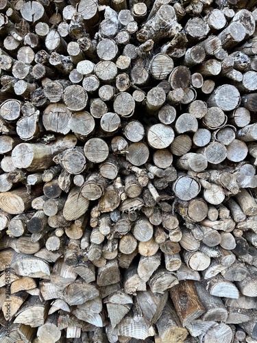 aufgestapeltes, getrocknetes Brennholz in einem Schuppen