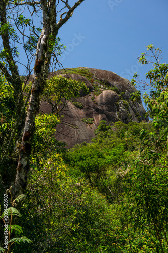 Pedra Redonda granite mountain rising above lush Atlantic forest saw from the hiking trail beneath vibrant summer morning sunny clear blue sky in Monte Verde, Camanducaia, Minas Gerais - Brazil.