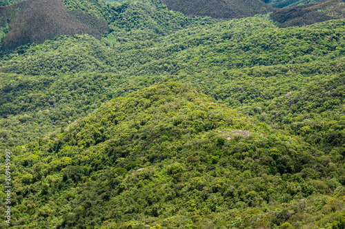 Dense Mantiqueira mountains from Atlantic forest canopy covering rolling hills in a preserved tropical landscape in a summer morning in Monte Verde, Camanducaia, Minas Gerais - Brazil