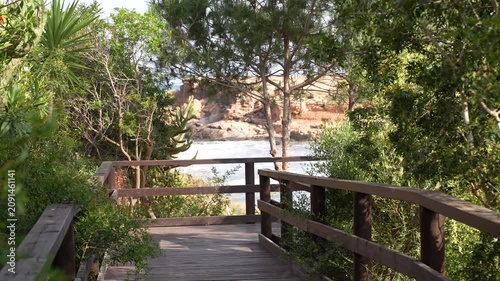 Wooden Boardwalk Through Coastal Forest Leading to Rocky Beach