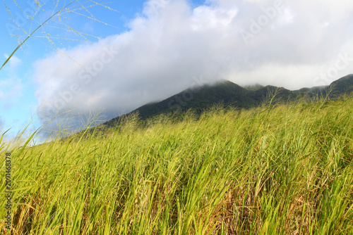 Bild auf Leinwand Mount Liamuiga Landscape on Saint Kitts