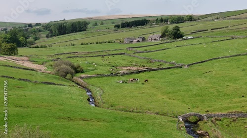 Landscape around Strines Bridge in Colden near Hebden Bridge in west Yorkshire a historic packhorse bridge crossing Hebden Water surrounded by farms and meadows with cows and sheep