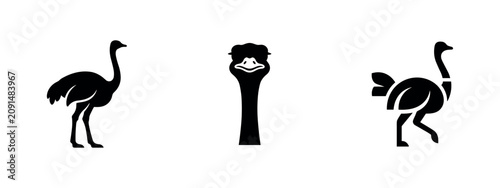 Fotografie Ostrich Bird Icons Set