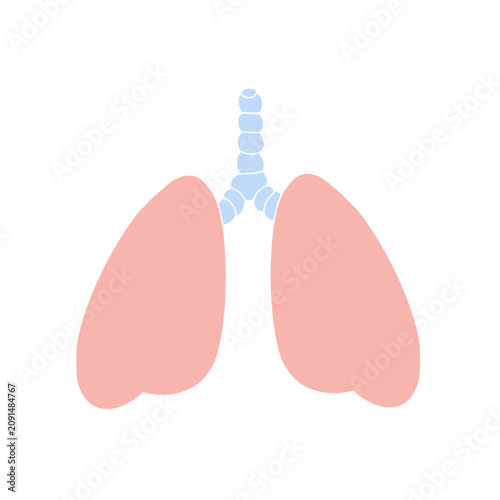 Human Lungs Flat Vector Anatomy Illustration Isolated