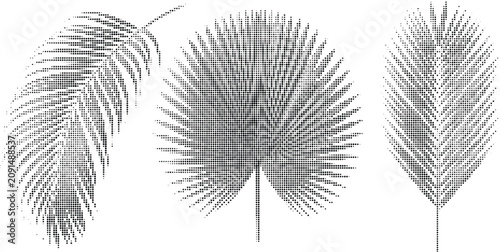 Vászonkép Tropical leaf and palm halftone tree collection featuring three distinct foliage shapes rendered in black dots for summer vacation themed artworks