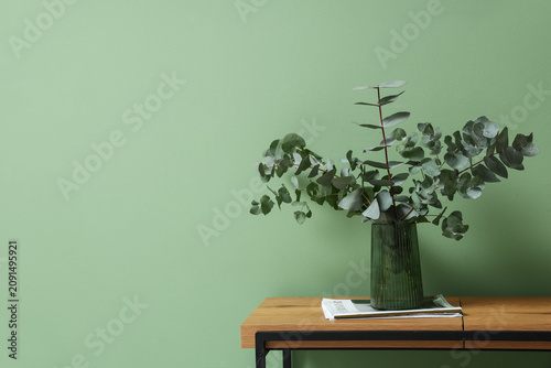 Magazines and vase with euc...