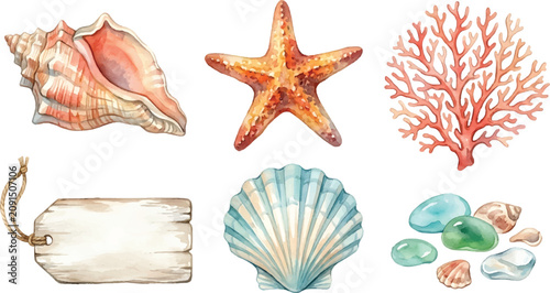 Vector Illustration Seaside Ocean Decor Watercolor Illustration Collection