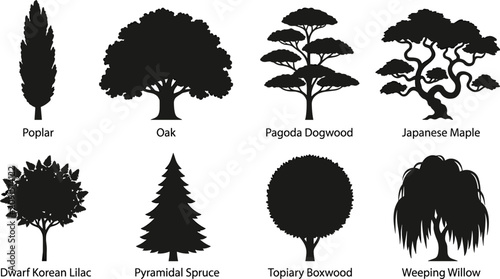 Tableau sur toile Collection of diverse tree silhouettes including oak poplar and weeping willow i