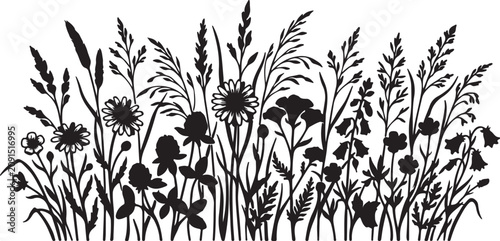 Wildflower meadow silhouette vector, black floral field border with grass and herbs, botanical summer garden illustration for wedding stationery