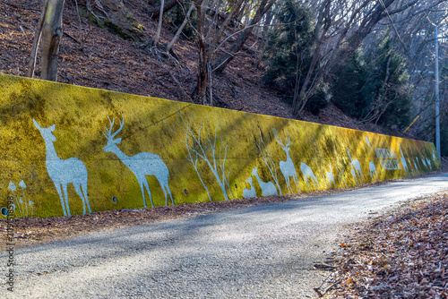 Φωτογραφία 奥武蔵グリーンラインの道路脇に描かれた苔アート