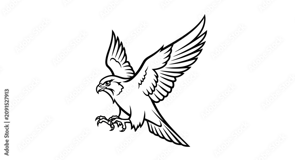Obraz premium Flying falcon bird prey line art illustration.