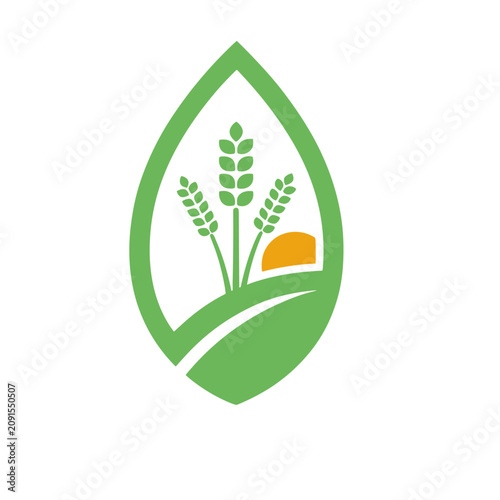 Wheat field and sun logo