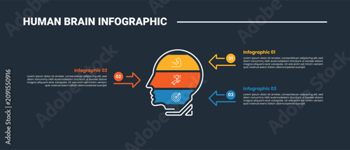 Human Brain anatomy infographic process diagram with head side view slice chart rectangle part with arrow pointer with centered direction dark background bright outline style 3 points