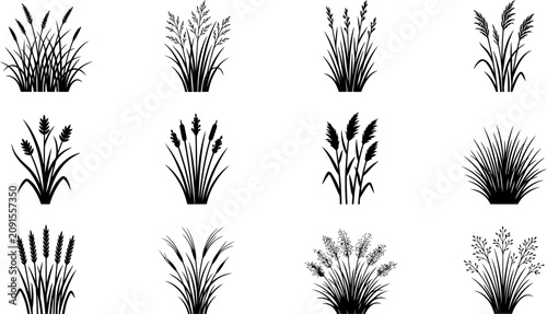 Foto Set of black silhouettes of marsh grass and reeds.