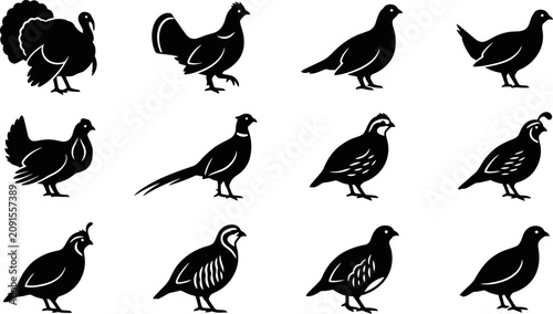 Photography Set of black silhouettes of various game birds and poultry.