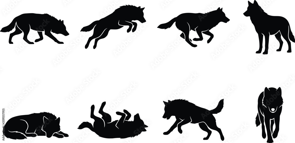 Fototapeta premium Vector collection of wolf silhouettes featuring animals in running, jumping, lying down, playing, and standing poses