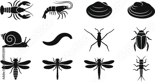 Quadro su tela Collection of various invertebrate animals and insect silhouette icons
