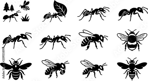 Tableau sur toile Set of black and white silhouettes featuring various ants and bees