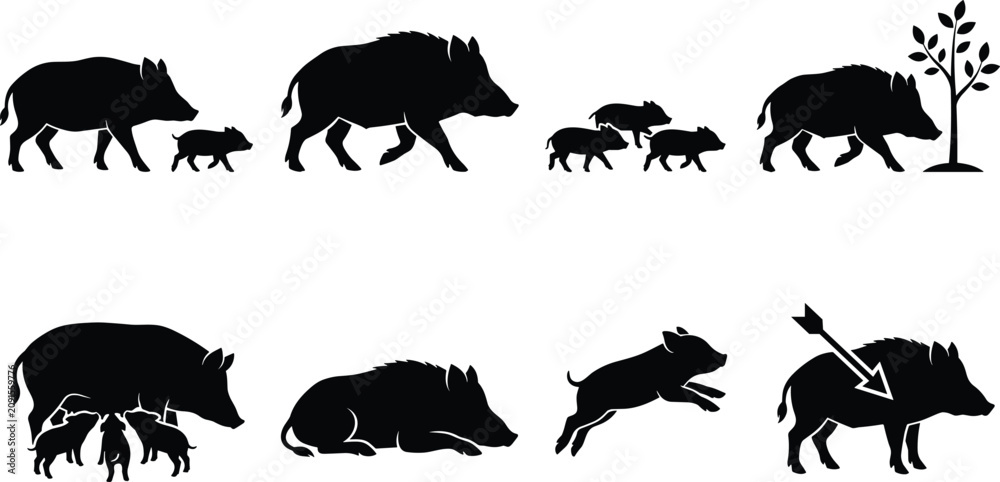 Fototapeta premium Vector collection of wild boar silhouettes featuring family groups, piglets, nursing sows, and hunting design elements