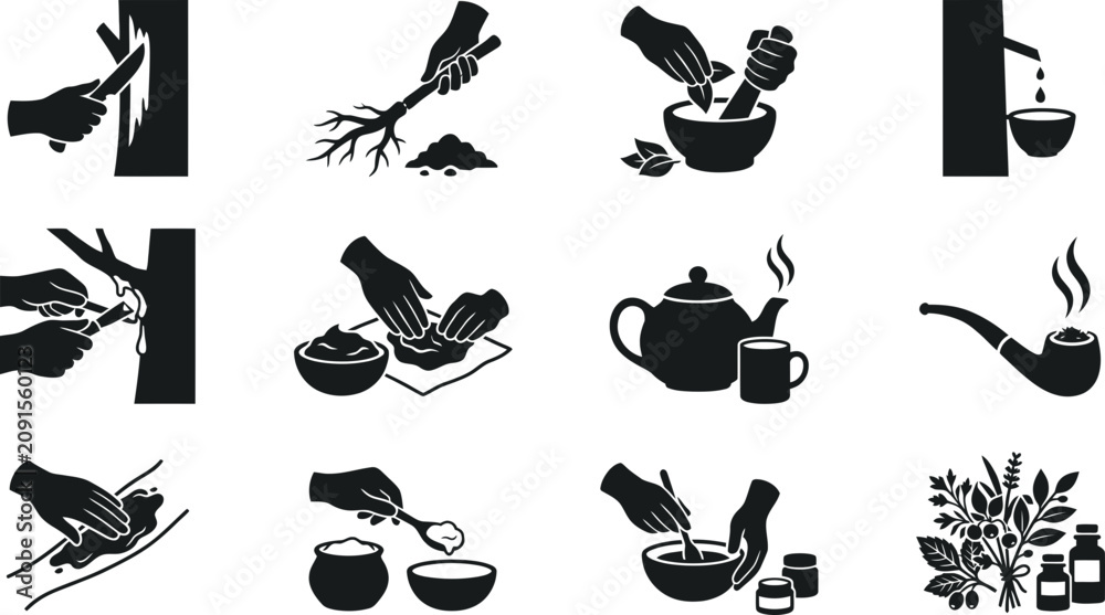 Obraz premium Set of herbal medicine and natural healing icons in black and white.