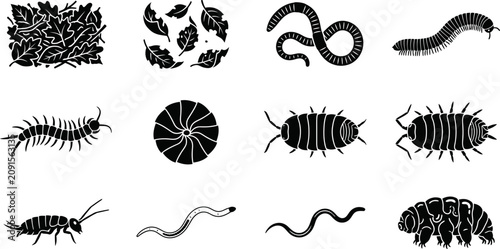 Foto Collection of soil dwelling invertebrates and leaf litter silhouettes