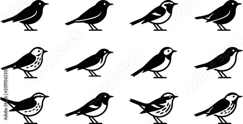 Fotografie Set of twelve diverse small songbird silhouettes in vector style.
