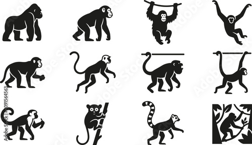 Photos Collection of black and white monkey and primate silhouette icons