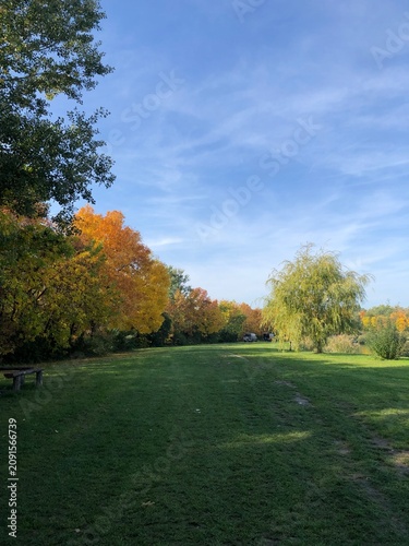Cuadro en lienzo ヨーロッパの郊外にある緑が美しい紅葉が混ざった公園の風景と青空