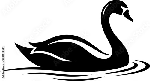 Black Swan Silhouette Swimming on Water