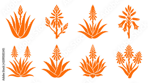 Orange aloe vera and agave silhouette plant set