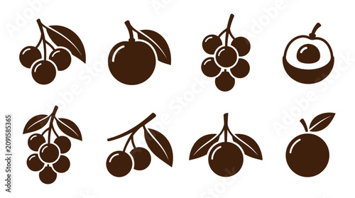 Brown longan fruit icon set for food branding.