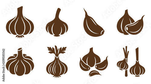 Brown garlic bulb and clove icon set collection.