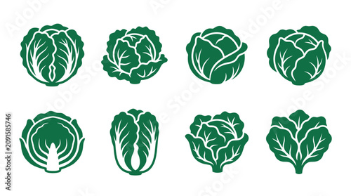 Green cabbage and lettuce icon set in flat design.