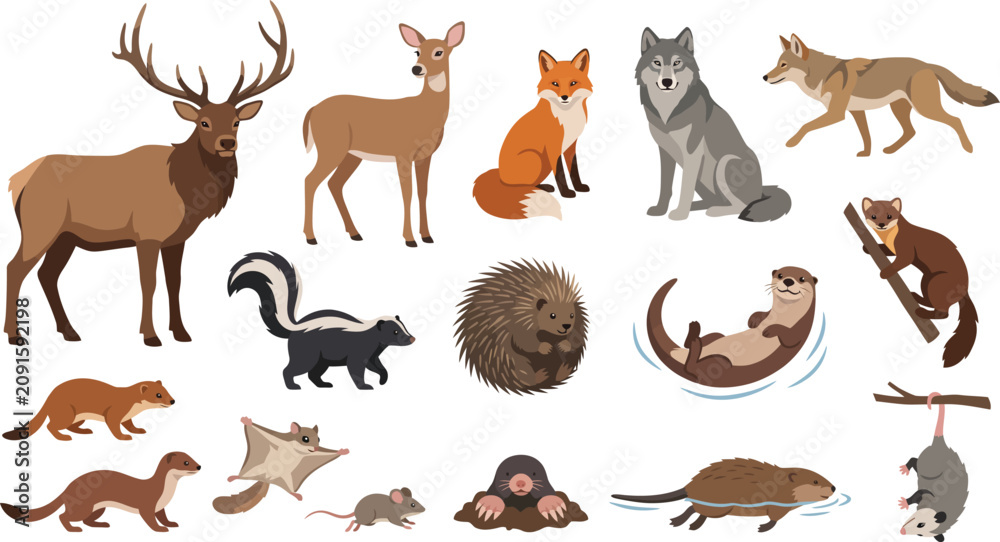 Fototapeta premium Collection of wild forest animals featuring deer wolf fox and other creatures in a clean flat vector graphic style design