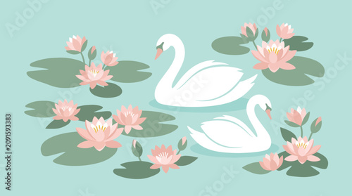 Foto White swans swimming in a pond with lily pads.