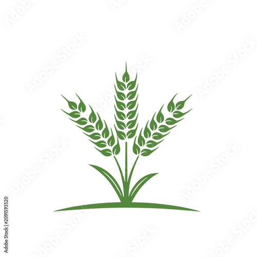 Green wheat stalks logo