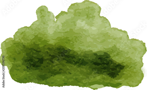 Green watercolor splash with textured organic shape